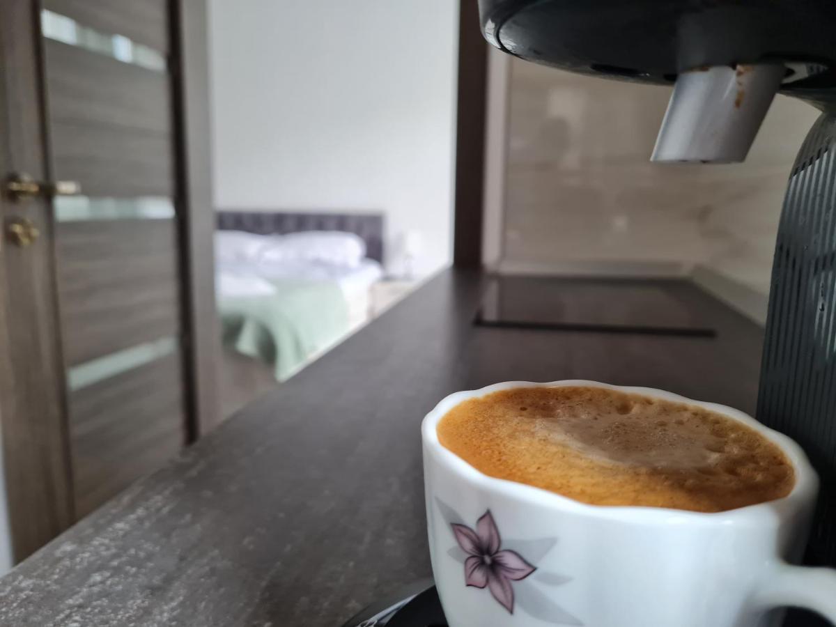 Smart Apartament ブラショフ エクステリア 写真